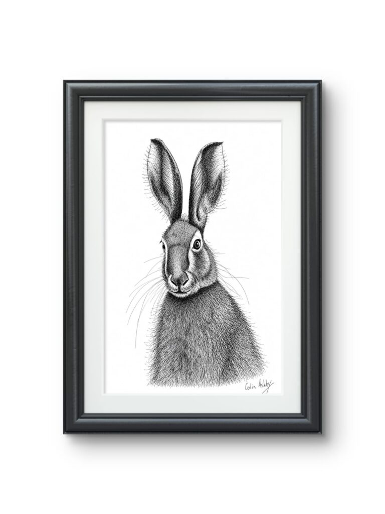 Example of hare artwork displayed on a wall in a home